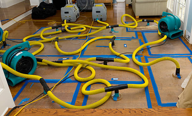 Professional Structural Drying And Dehumidification technician working in Winchester, NH